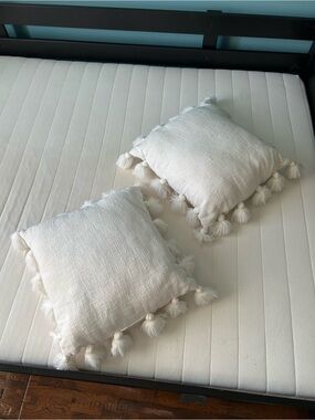 Neutral Tassel Throw Pillow Set - 2 Pack (2 White Pillows!)